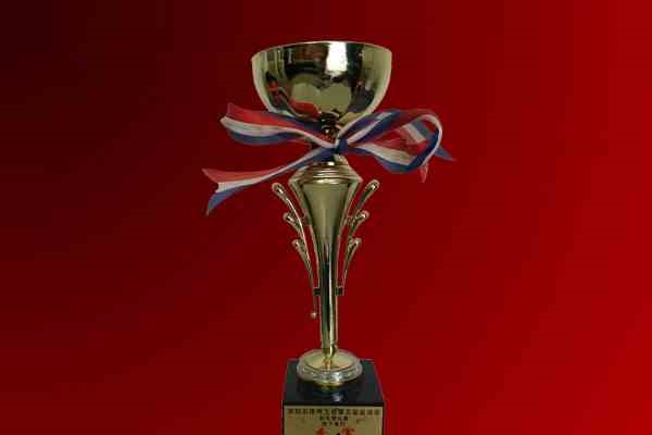 知明所获深圳律师工会“第五届运动会羽毛球男子单打季军”奖杯